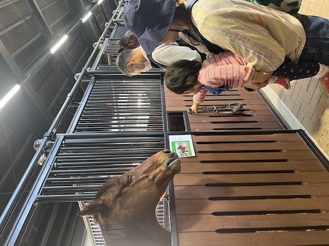馬紹介